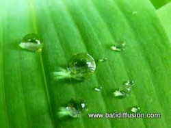 BATI HYDRO - Hydrofuge De Surface / Imperméabilisant